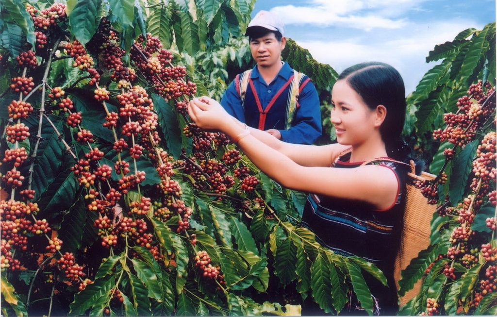 Công Ty Cà Phê Thành Thiện kính chào quý khách !